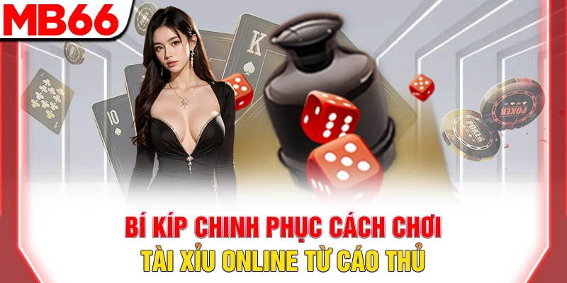 Bíp kíp chinh phục cách chơi tài xỉu online từ cao thủ