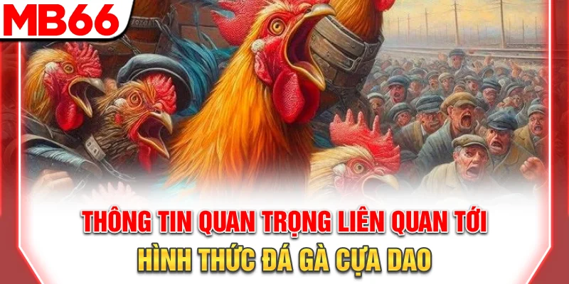 Thông tin quan trọng liên quan tới hình thức đá gà cựa dao