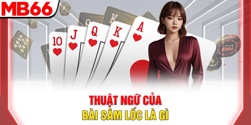 Thuật ngữ của bài sâm lốc là gì